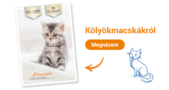 Kölyökmacskákról