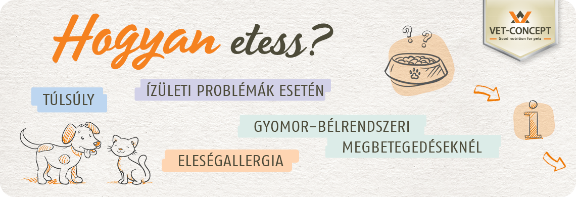 Hogyan etess?